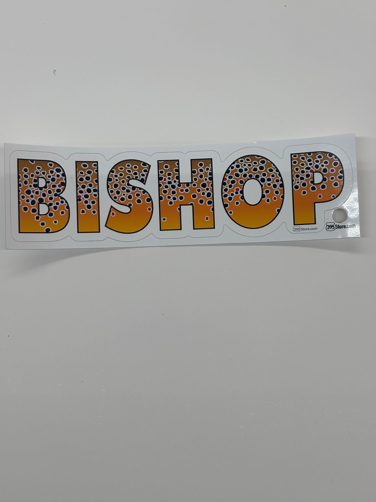 BISHOP BROWN
