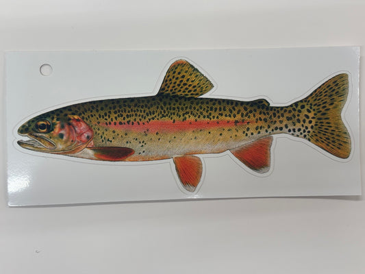Rainbow Trout
