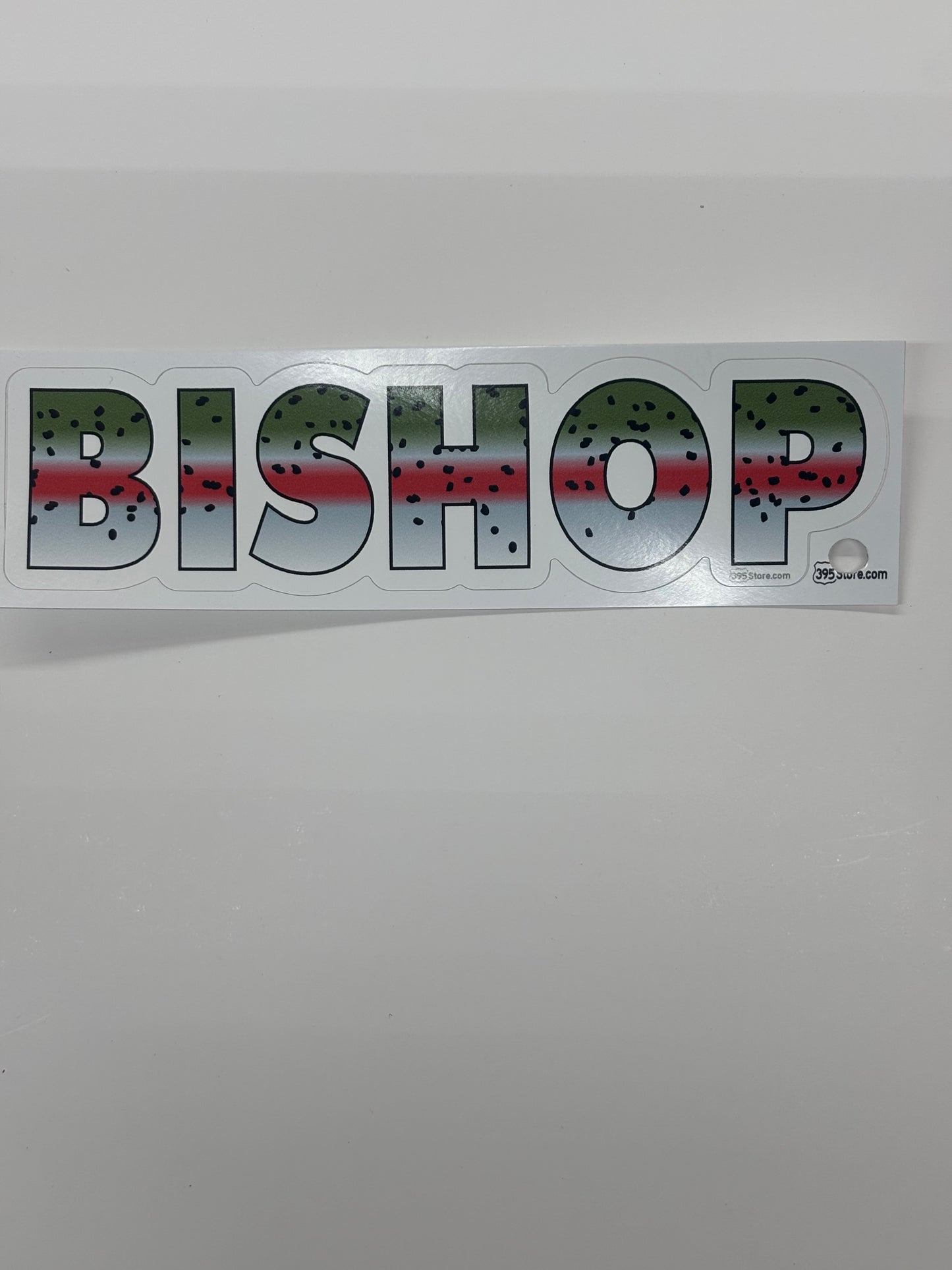 BISHOP Rainbow